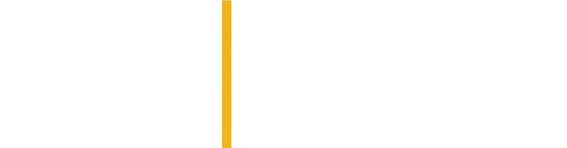 Mecsek Menedzsment Kft.